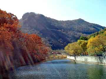 澳门二四六天天彩图库，重生之横行霸道